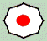 insignia judo